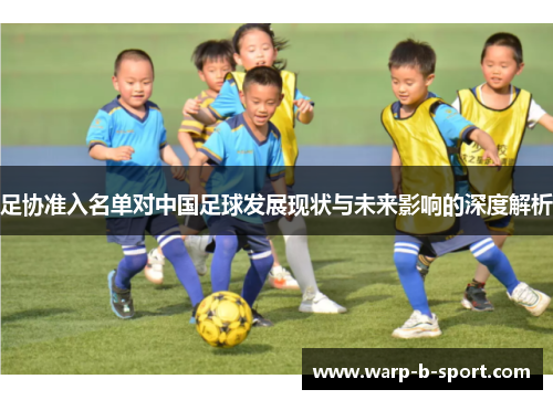 足协准入名单对中国足球发展现状与未来影响的深度解析